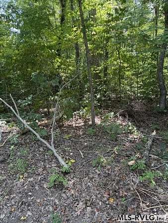 3 Acres of Residential Land for Sale in Brodnax, Virginia