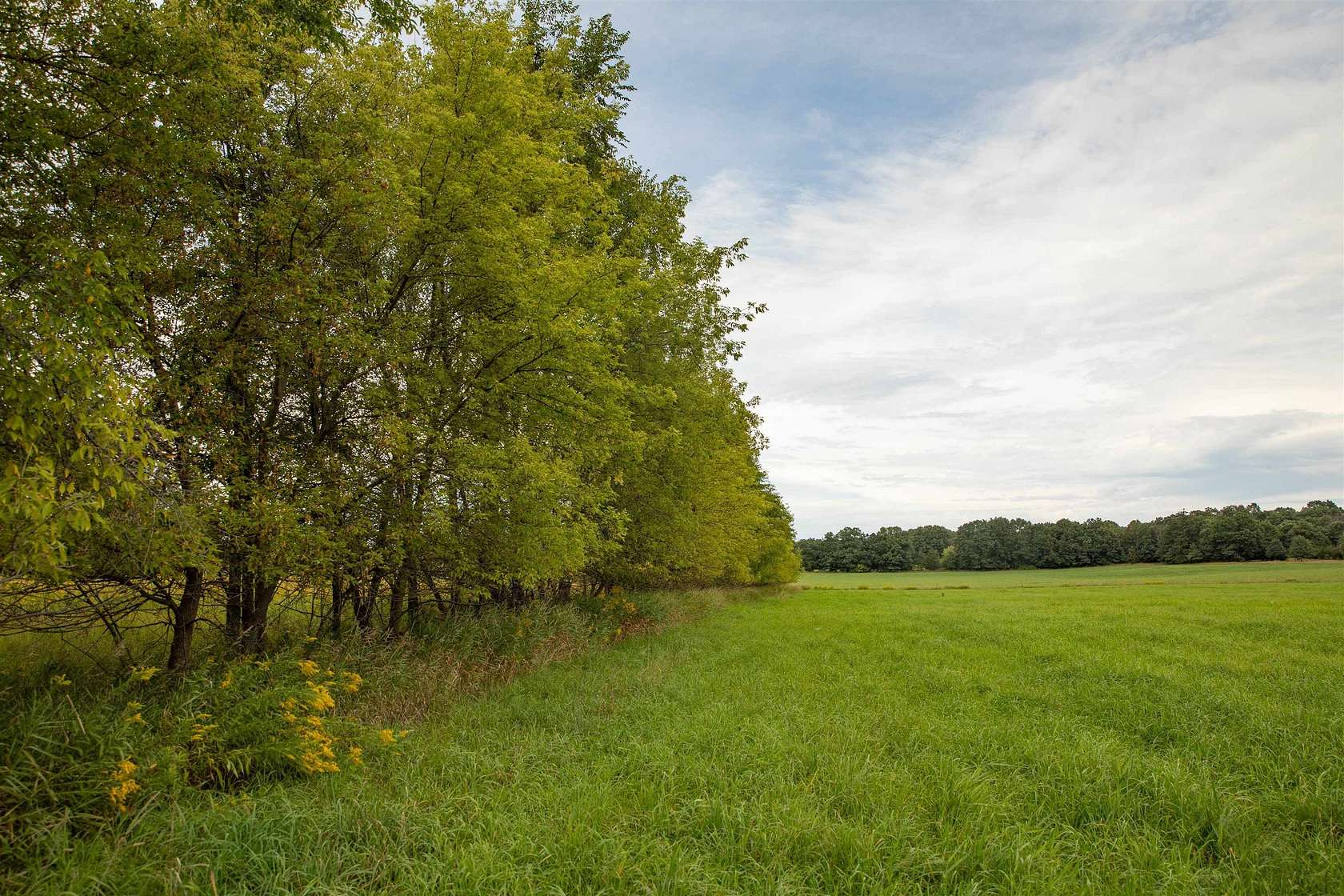 10 Acres of Land for Sale in Westfield, Wisconsin