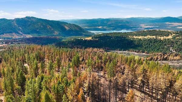 20 Acres of Agricultural & Residential Land for Sale in Rice, Washington