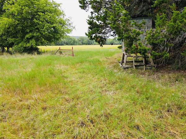 50.5 Acres of Recreational Land for Sale in Valley Mills, Texas