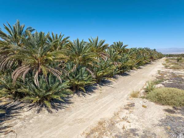 113 Acres of Agricultural Land for Sale in Mecca, California