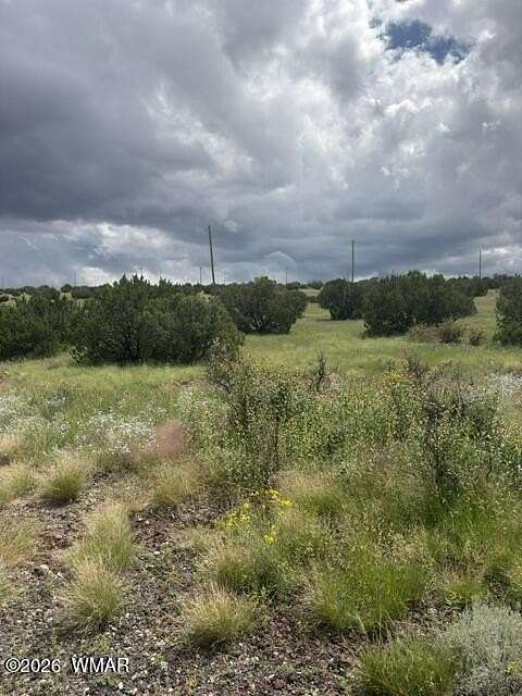 0.25 Acres of Residential Land for Sale in Concho, Arizona