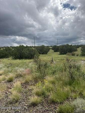0.25 Acres of Residential Land for Sale in Concho, Arizona