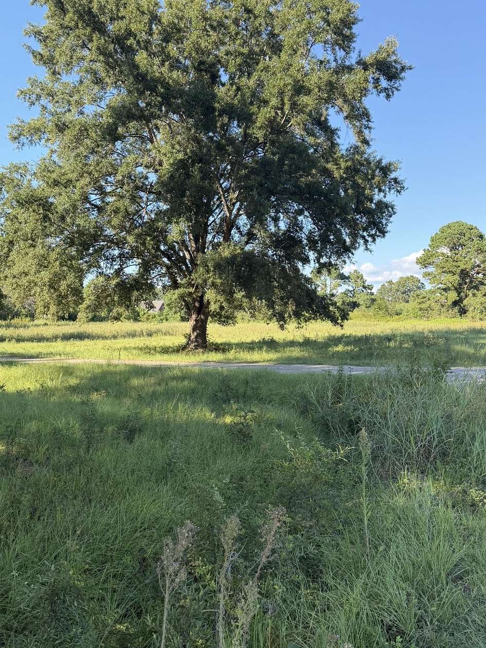 0.51 Acres of Residential Land for Sale in Summerton, South Carolina