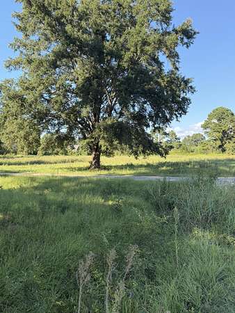 0.51 Acres of Residential Land for Sale in Summerton, South Carolina
