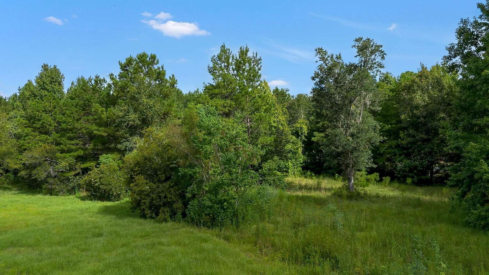 9.48 Acres of Residential Land for Sale in Monticello, Florida