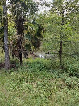 1.86 Acres of Land with Home for Sale in Highland Home, Alabama