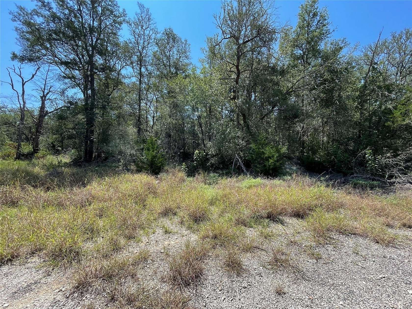 0.29 Acres of Residential Land for Sale in Bastrop, Texas