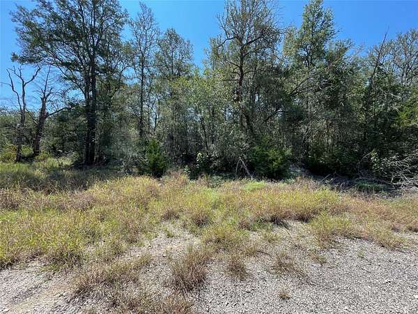 0.29 Acres of Residential Land for Sale in Bastrop, Texas
