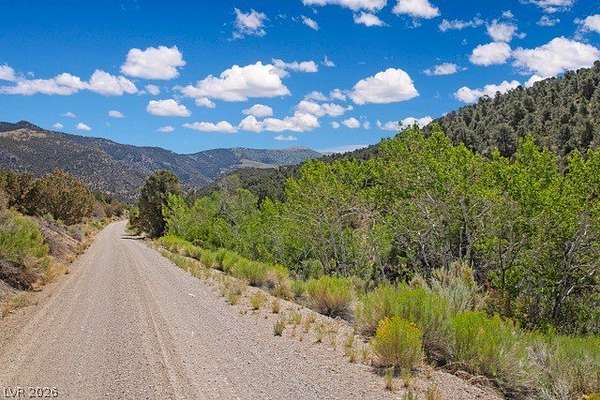218 Acres of Land for Sale in Ely, Nevada