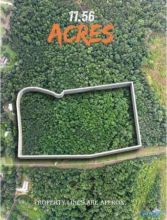11.6 Acres of Recreational & Residential Land for Sale in Glencoe, Alabama