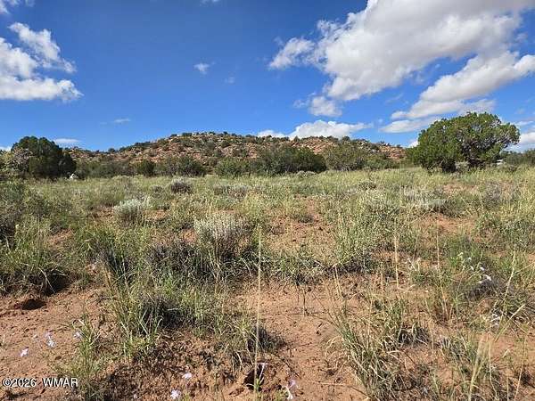 3.54 Acres of Residential Land for Sale in Snowflake, Arizona