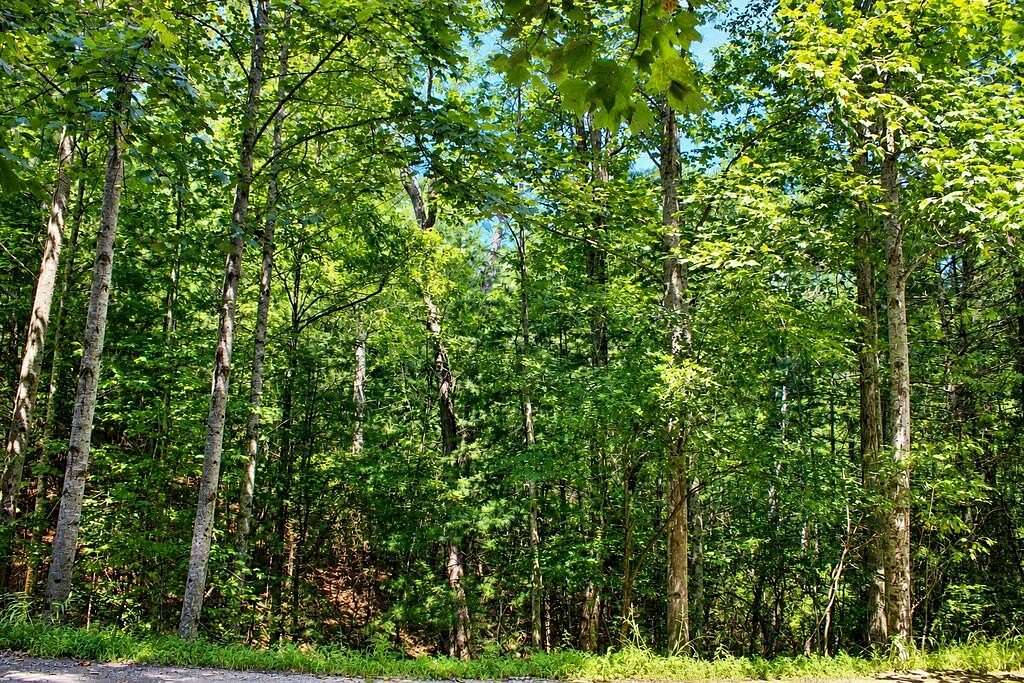 0.9 Acres of Residential Land for Sale in Blairsville, Georgia