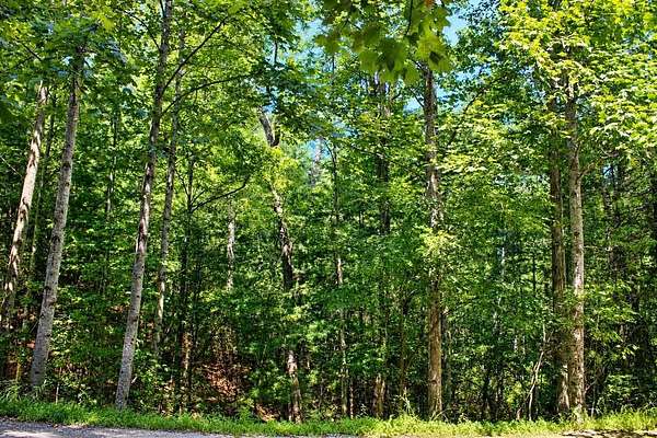 0.9 Acres of Residential Land for Sale in Blairsville, Georgia