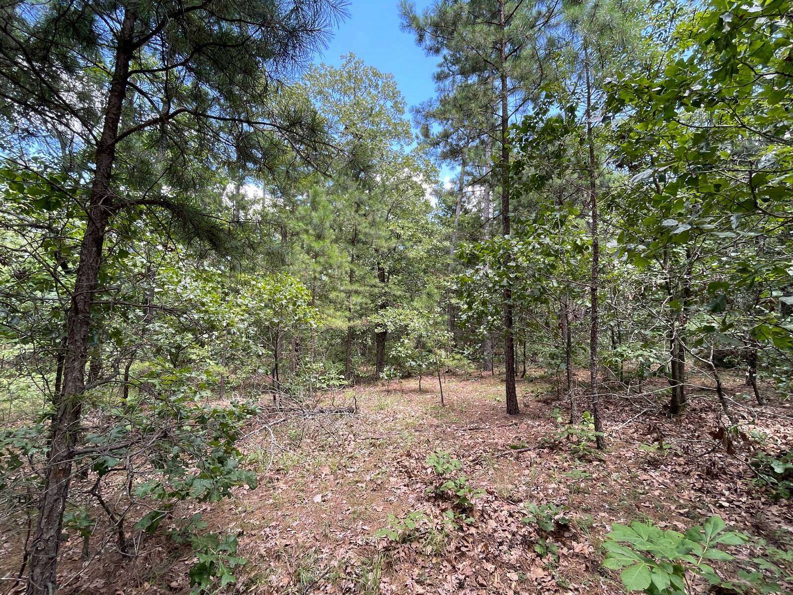 5 Acres of Residential Land for Sale in Moyers, Oklahoma
