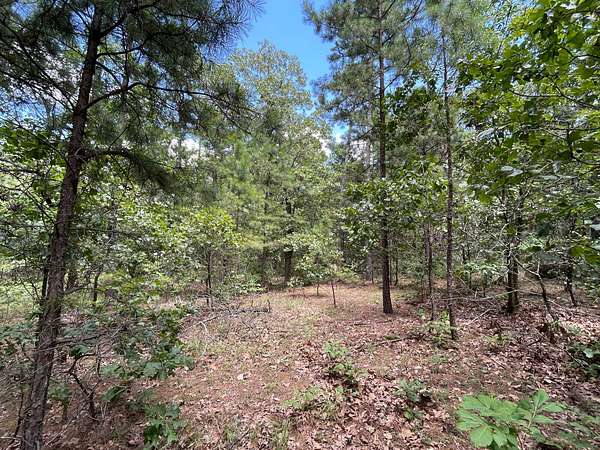 5 Acres of Residential Land for Sale in Moyers, Oklahoma
