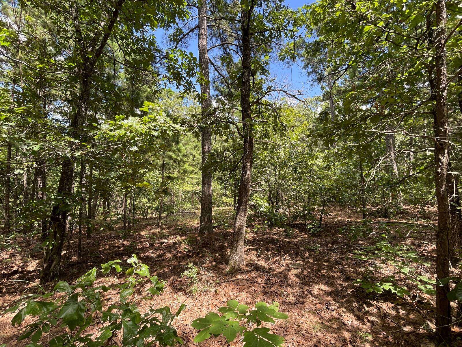 10 Acres of Residential Land for Sale in Moyers, Oklahoma