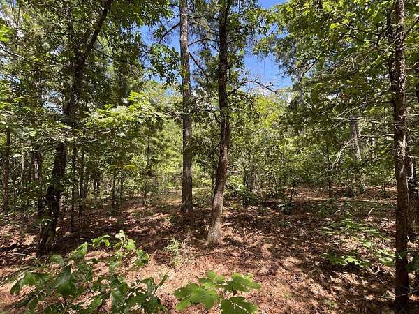 10 Acres of Residential Land for Sale in Moyers, Oklahoma