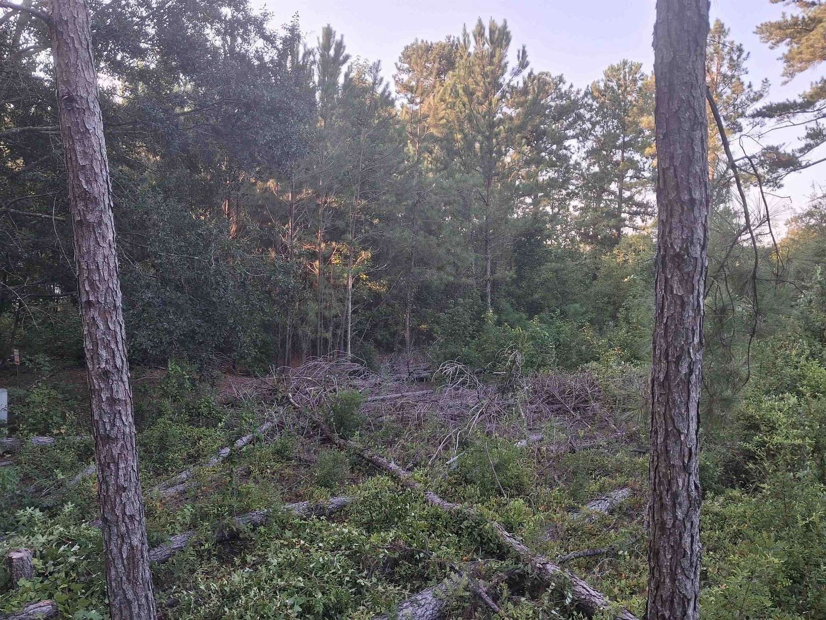 0.24 Acres of Land for Sale in Lake City, South Carolina