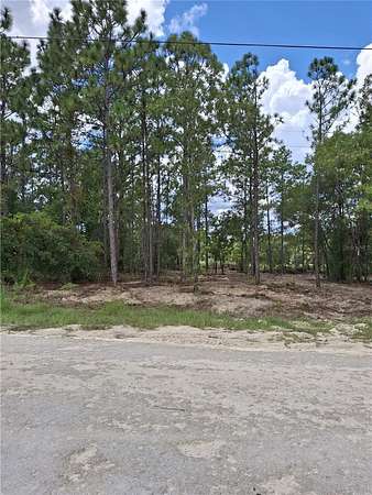 0.46 Acres of Residential Land for Sale in Weeki Wachee, Florida