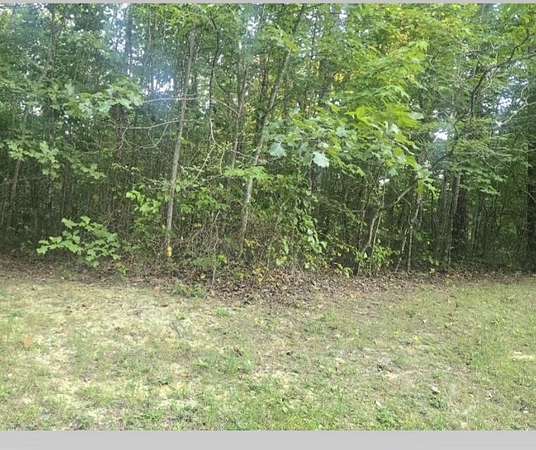 Land for Sale in Crawford, Tennessee