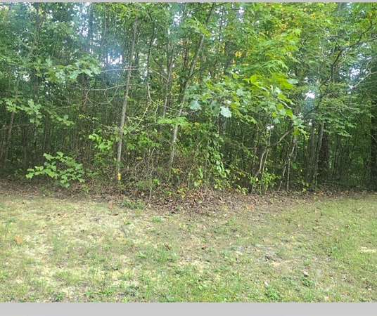5.25 Acres of Land for Sale in Crawford, Tennessee