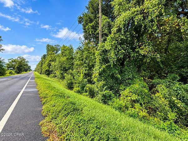 10 Acres of Land for Sale in Marianna, Florida