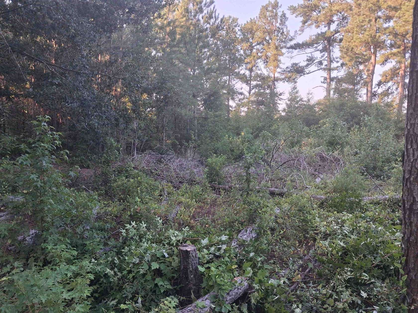 0.24 Acres of Land for Sale in Lake City, South Carolina