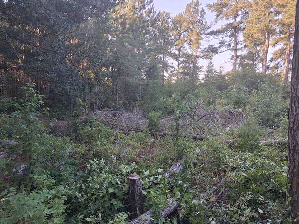 0.24 Acres of Land for Sale in Lake City, South Carolina