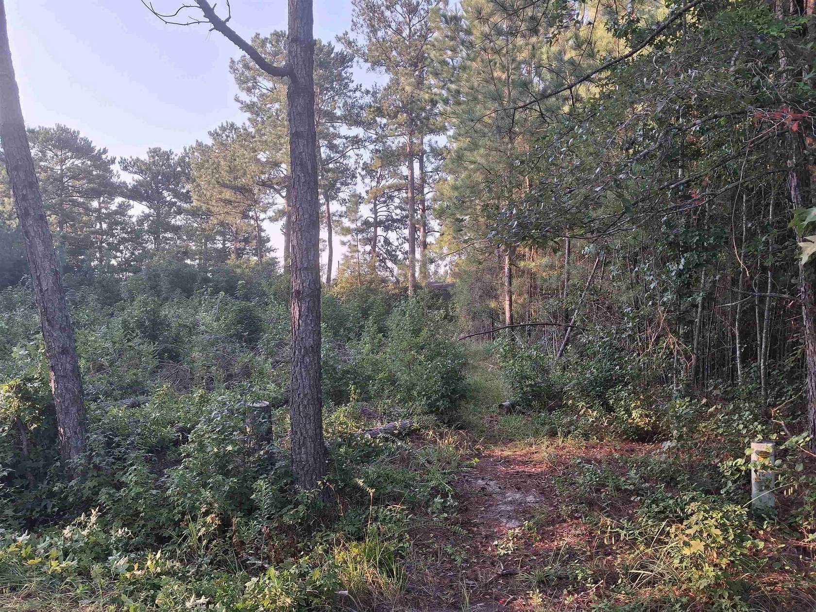0.24 Acres of Land for Sale in Lake City, South Carolina