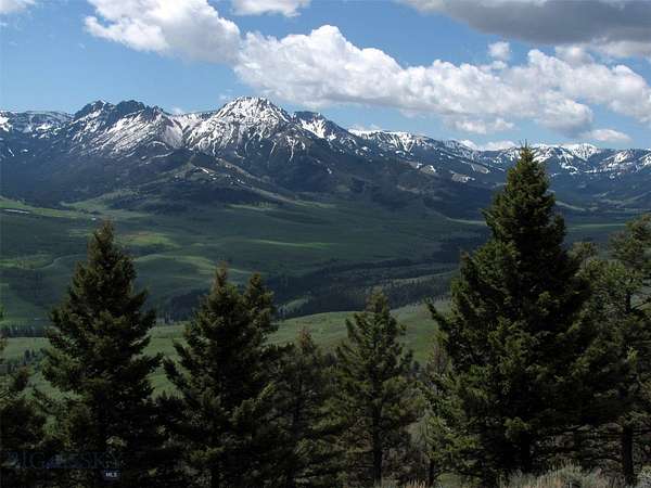 20 Acres of Recreational Land for Sale in Emigrant, Montana