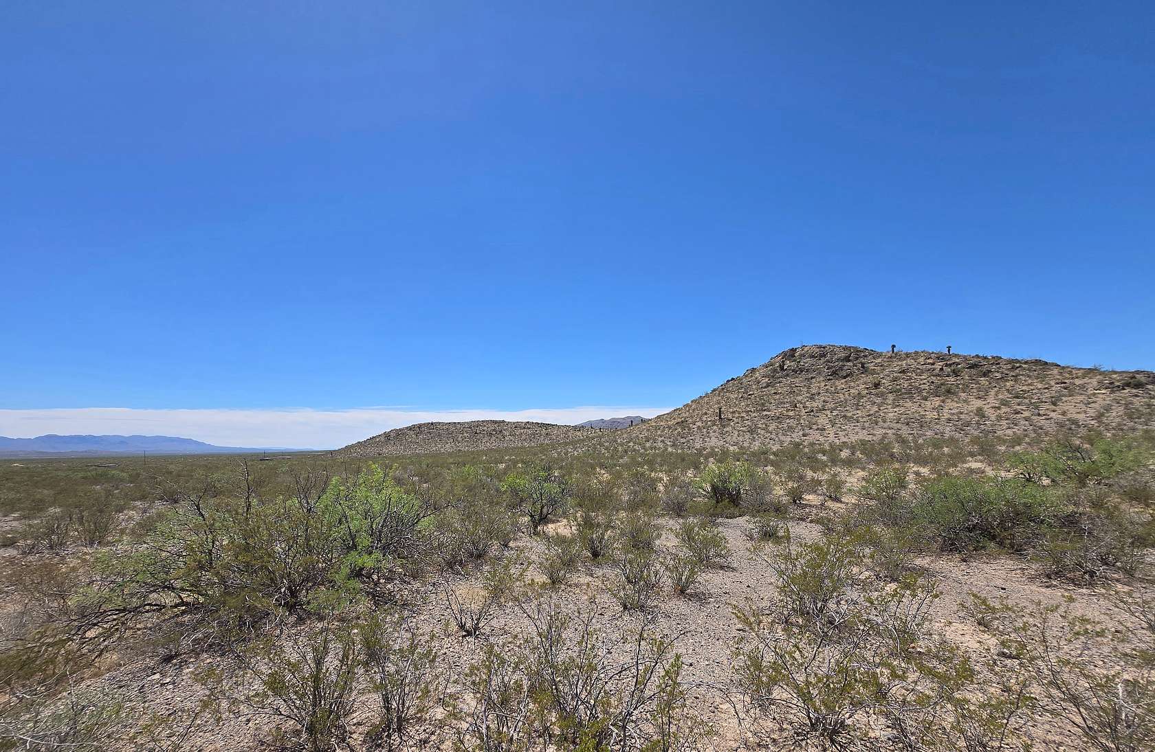 31.4 Acres of Recreational & Residential Land for Sale in Fort Hancock, Texas