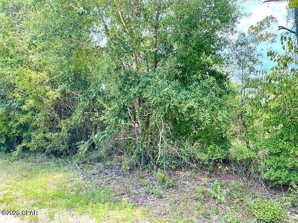 1.3 Acres of Residential Land for Sale in Alford, Florida