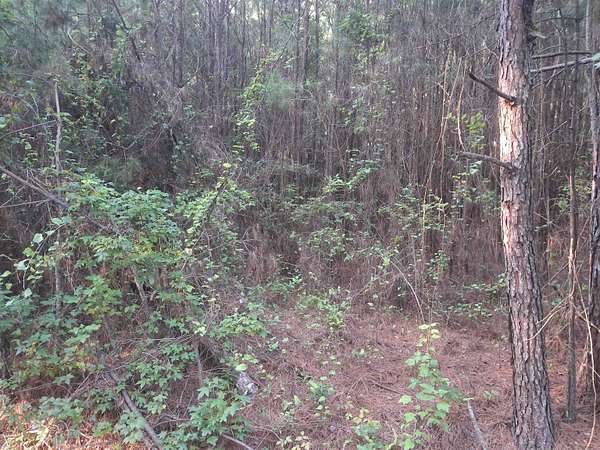 0.24 Acres of Land for Sale in Lake City, South Carolina
