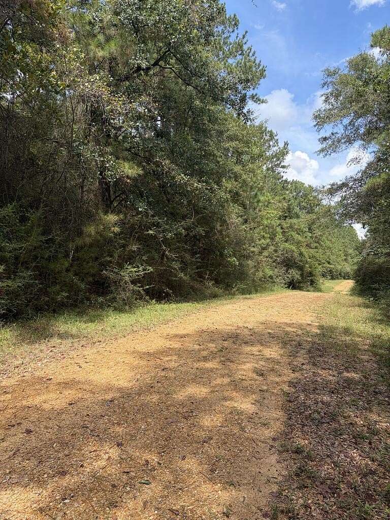 2 Acres of Residential Land for Sale in Poplarville, Mississippi