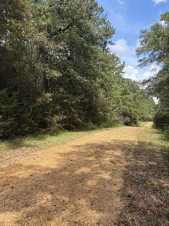 2 Acres of Residential Land for Sale in Poplarville, Mississippi