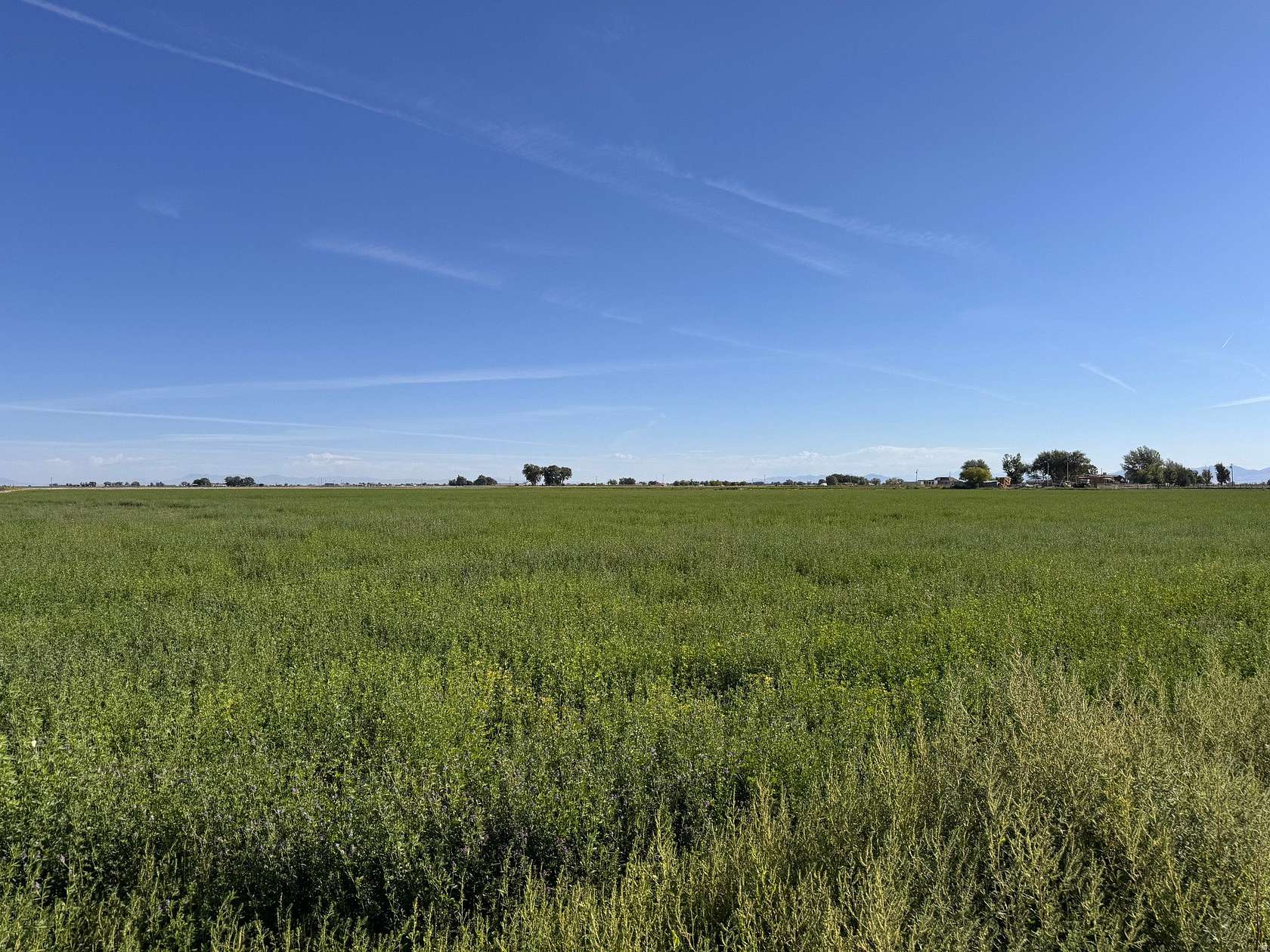 61 Acres of Agricultural & Residential Land for Sale in Delta, Utah