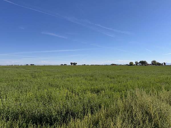 61 Acres of Agricultural & Residential Land for Sale in Delta, Utah
