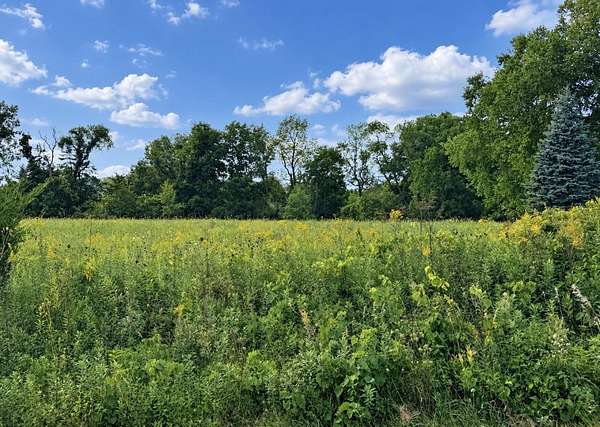 0.55 Acres of Land for Sale in Galena, Illinois