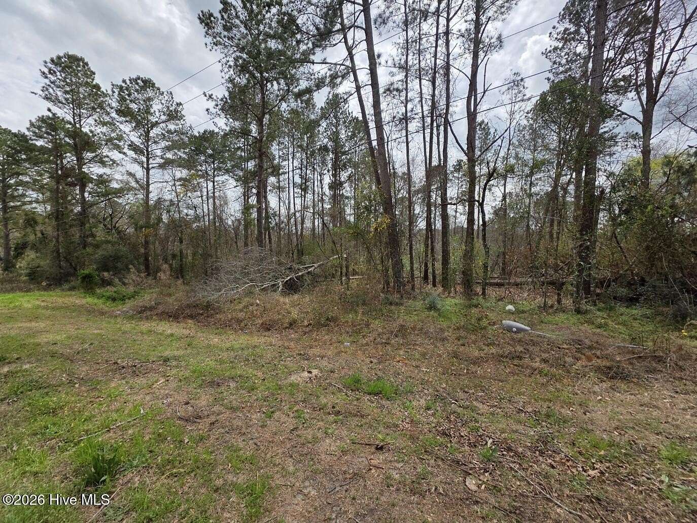 118 Acres of Recreational & Residential Land for Sale in Hephzibah, Georgia