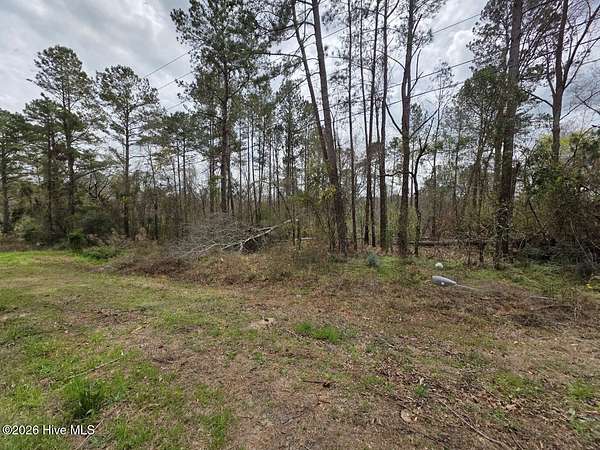 118 Acres of Recreational & Residential Land for Sale in Hephzibah, Georgia