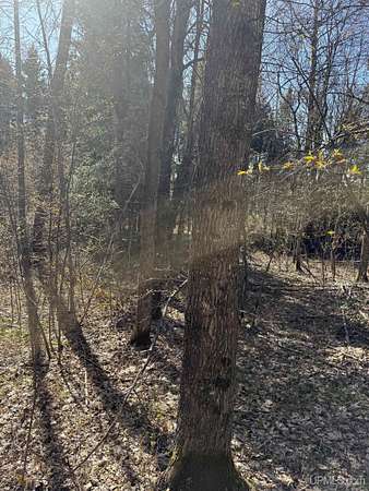9.6 Acres of Land for Sale in Sidnaw, Michigan