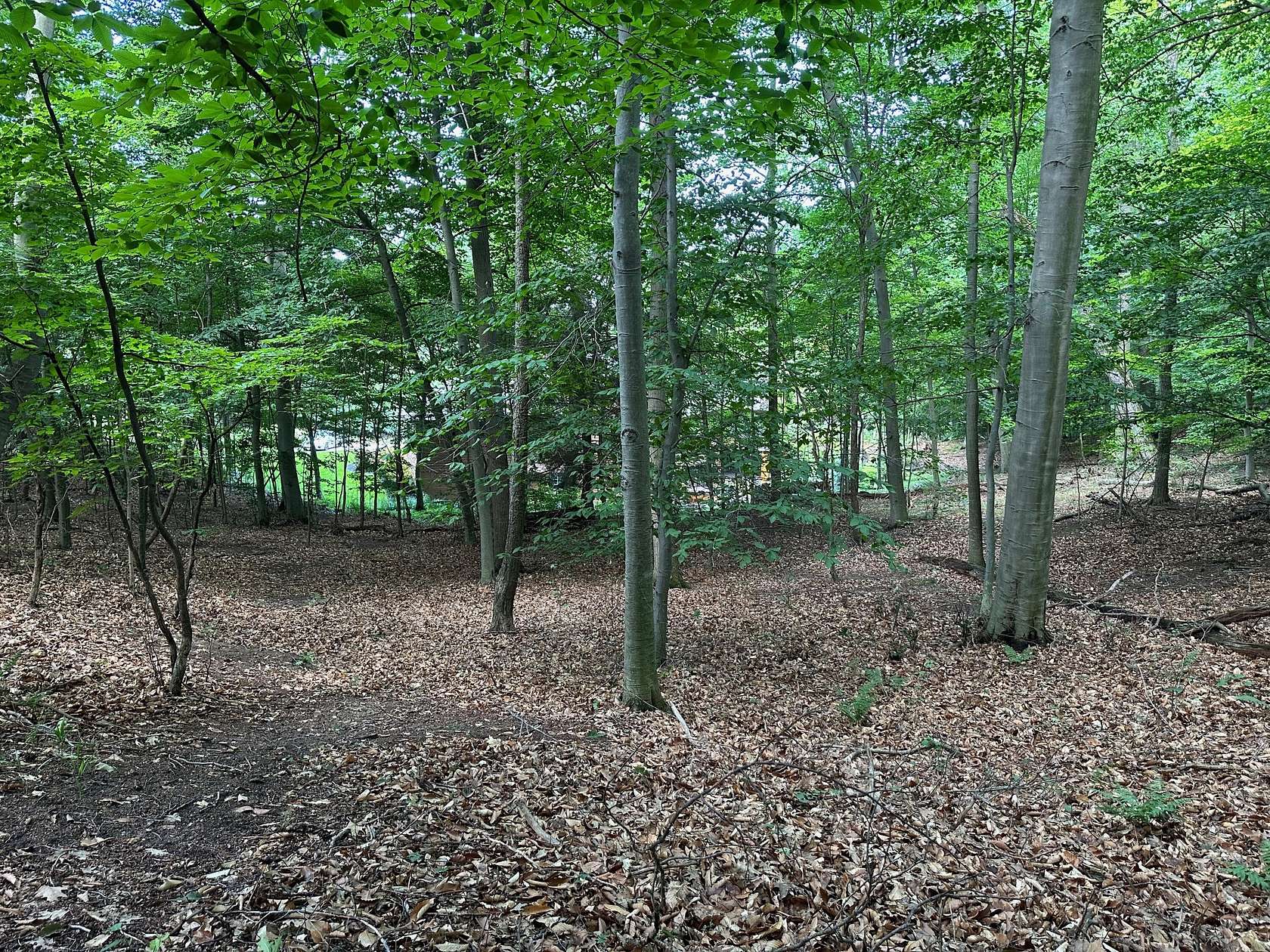 0.14 Acres of Residential Land for Sale in Holland, Michigan
