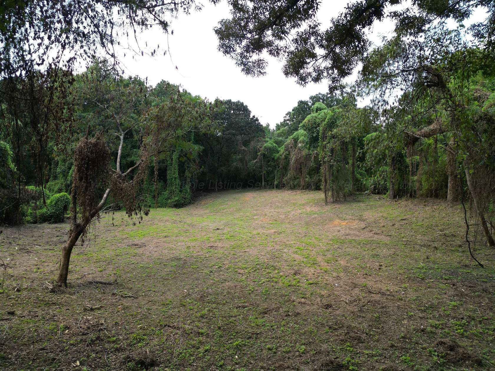 1.5 Acres of Residential Land for Sale in Jasper, Alabama