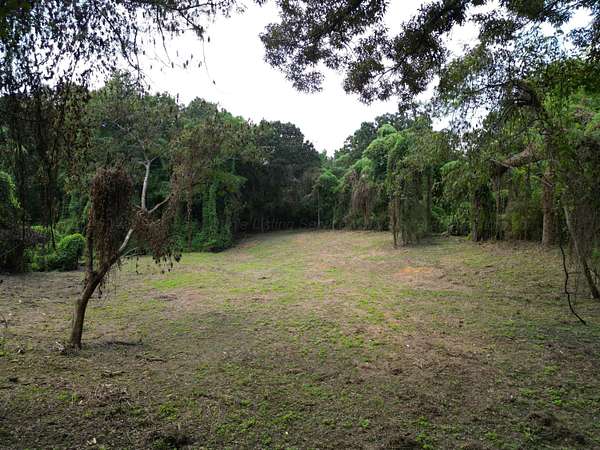 1.5 Acres of Residential Land for Sale in Jasper, Alabama