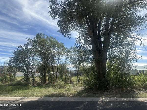 0.23 Acres of Residential Land for Sale in Eagar, Arizona