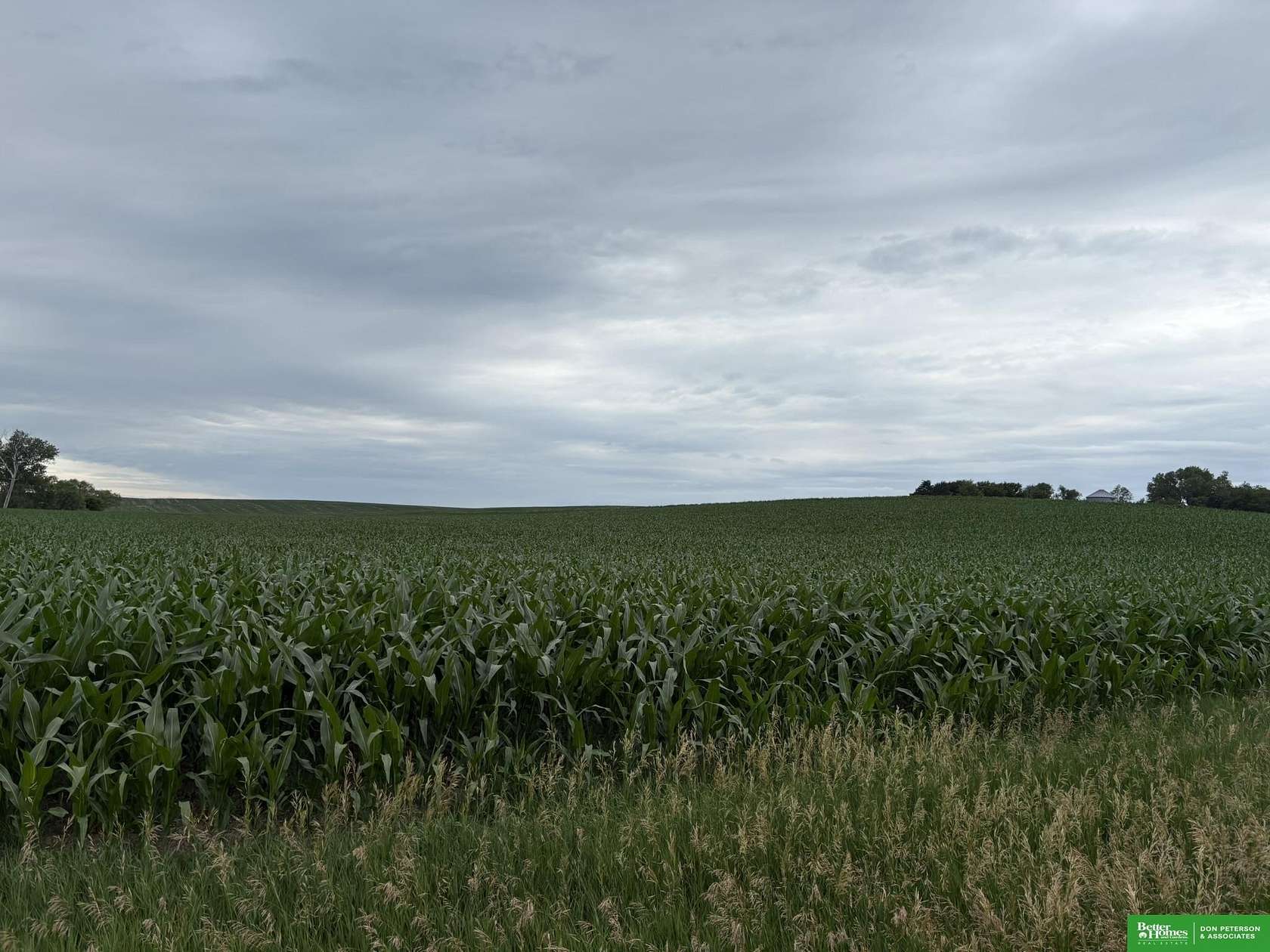 Land for Sale in Craig, Nebraska
