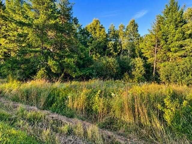 60 Acres of Recreational & Residential Land for Sale in Easton Town, Wisconsin