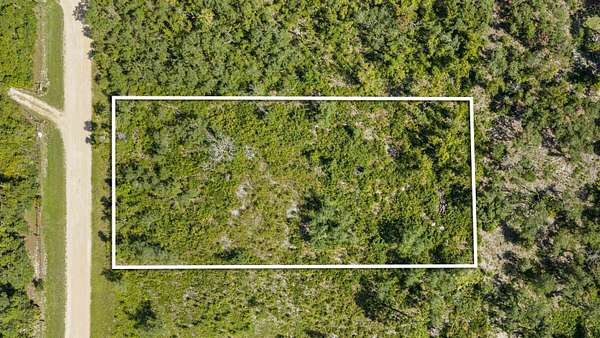 1 Acre of Residential Land for Sale in Keaton Beach, Florida