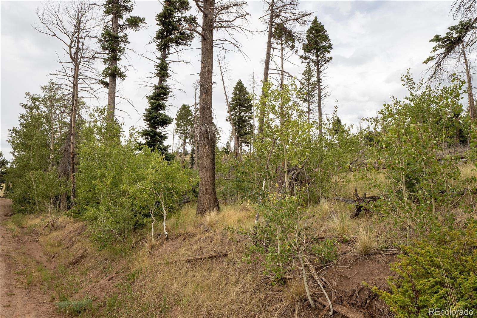 1.58 Acres of Residential Land for Sale in Fort Garland, Colorado